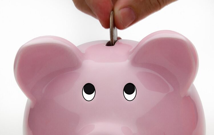 piggy bank savings